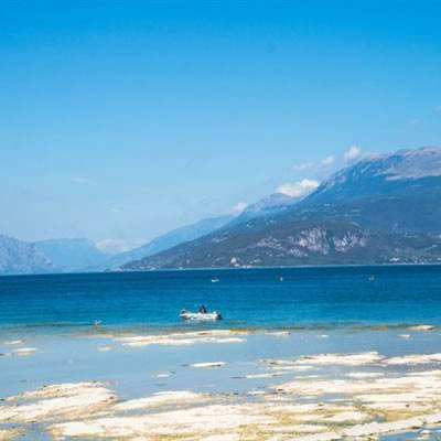 半岛综合娱乐app