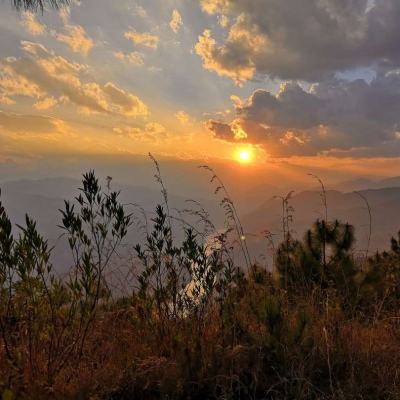 香港最准资料免费公开app下载