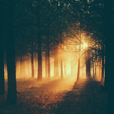 助赢软件app下载